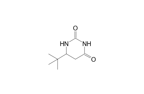 6-(t-Butyl)-5,6-dihydrouracil