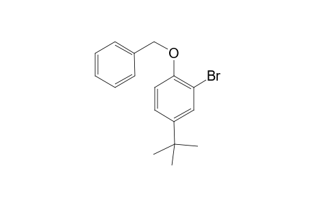4-tert-Buyl-2-bromo-1-benzyloxybenzene