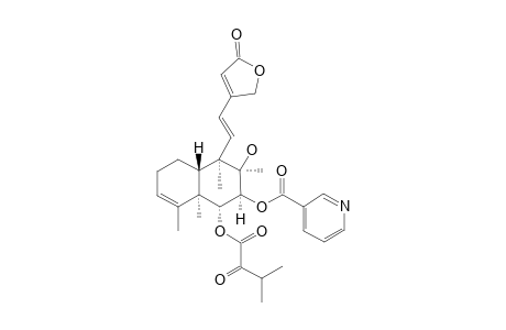 6-O-(2-CARBONYL-3-METHYLBUTANOYL)-SCUTEHENANINE_A