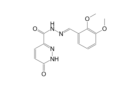 N'-[(E)-(2,3-dimethoxyphenyl)methylidene]-6-oxo-1,6-dihydro-3-pyridazinecarbohydrazide
