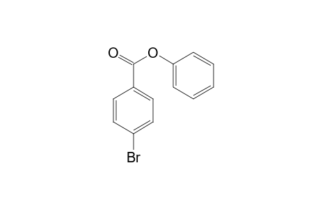4-Bromobenzoic acid,phenyl ester