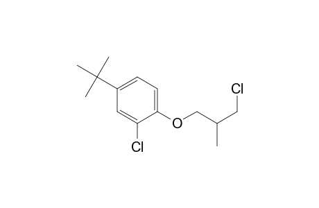 4-tert-Butyl-2-chloranyl-1-(3-chloranyl-2-methyl-propoxy)benzene