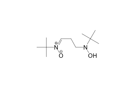 1-Propanamine, N-(1,1-dimethylethyl)-3-[(1,1-dimethylethyl)imino]-N-hydroxy-, N3-oxide