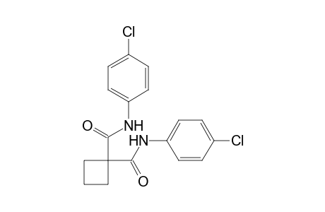 N,N'-bis(p-chlorophenyl)-1,1-cyclobutanedicarboxamide