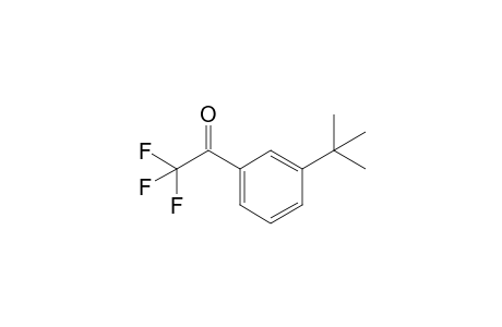 1-(3-(tert-butyl)phenyl)-2,2,2-trifluoroethan-1-one