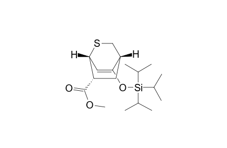 (1R*,4R*,6R*)-8-Triisopropylsilyloxy-2-thiabicyclo[2.2.2]oct-7-ene-6-carboxylic Acid Methyl Ester