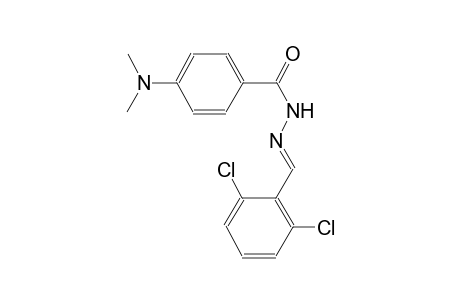 benzoic acid, 4-(dimethylamino)-, 2-[(E)-(2,6-dichlorophenyl)methylidene]hydrazide