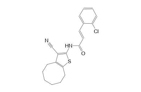 (2E)-3-(2-chlorophenyl)-N-(3-cyano-4,5,6,7,8,9-hexahydrocycloocta[b]thien-2-yl)-2-propenamide