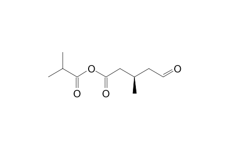 ISOBUTYRIC-(3R)-3-METHYL-5-OXOPENTANOIC_ANHYDRIDE