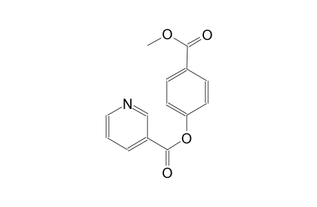 3-pyridinecarboxylic acid, 4-(methoxycarbonyl)phenyl ester