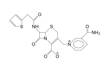 Cephaloridine-carboxylamide