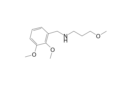 [(2,3-dimethoxyphenyl)methyl](3-methoxypropyl)amine