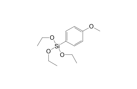 Triethoxy-(4-methoxyphenyl)silane