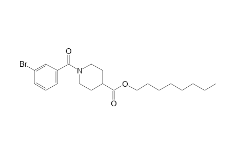 Isonipecotic acid, N-(3-bromobenzoyl)-, octyl ester