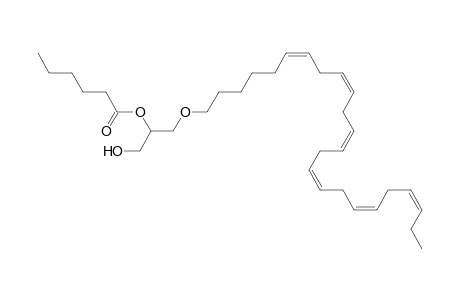 DG O-24:6_6:0