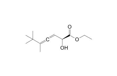 Ethyl 2-hydroxy-5,6,6-trimethylhepta-3,4-dienoate