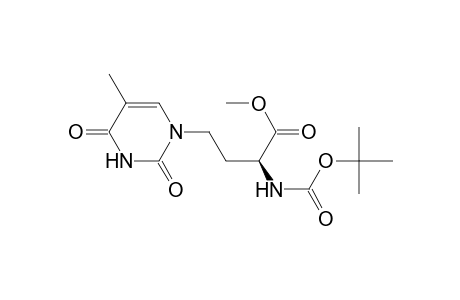 (2S)-2-(tert-butoxycarbonylamino)-4-(2,4-diketo-5-methyl-pyrimidin-1-yl)butyric acid methyl ester