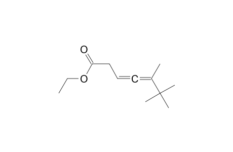 5,6,6-trimethylhepta-3,4-dienoic acid ethyl ester
