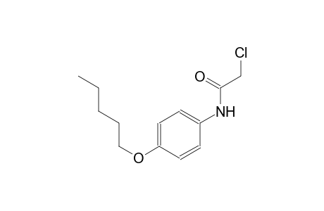 acetamide, 2-chloro-N-[4-(pentyloxy)phenyl]-
