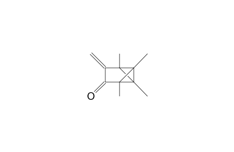 1,2,5,6-Tetramethyl-4-methylene-tricyclo(3.1.0.0/2,6/)hexanone-3