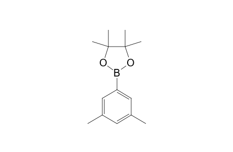 5-(4,4,5,5-TETRAMETHYL-1,3,2-DIOXABOROLAN-2-YL)-META-XYLENE