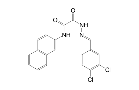 acetic acid, (2-naphthalenylamino)oxo-, 2-[(E)-(3,4-dichlorophenyl)methylidene]hydrazide