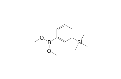 [3-(Dimethoxyboryl)phenyl]trimethylsilane