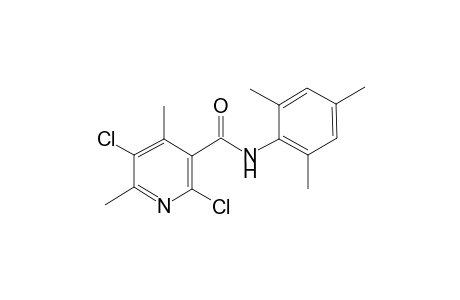 2,5-Dichloro-4,6-dimethyl-N-(2,4,6-trimethyl-phenyl)-nicotinamide