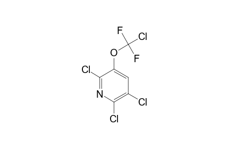 2,5,6-TRICHLORO-4-DIFLUOROCHLOROMETHOXY-PYRIDINE