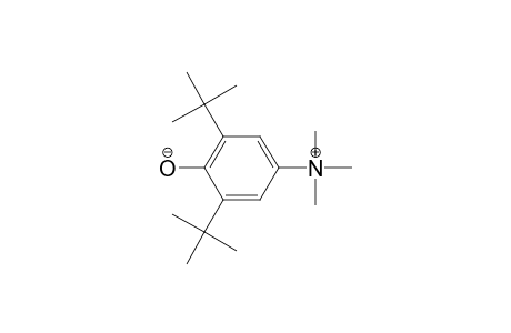 (3,5-ditert-butyl-4-hydroxy-phenyl)-trimethyl-ammonium
