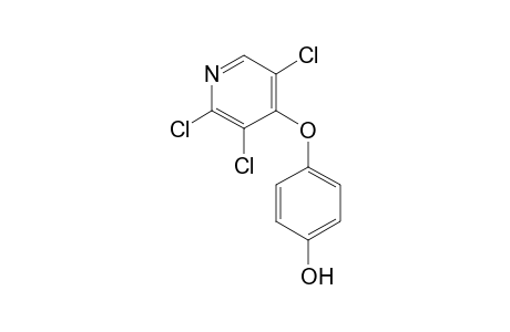 Pyridine, 2,3,5-trichloro-4-(4-hydroxyphenoxy)-