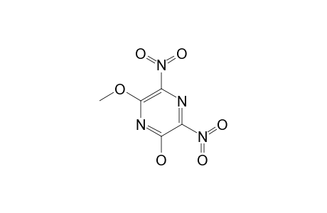 6-METHOXY-2-HYDROXY-3,5-DINITRO-PYRAZINE