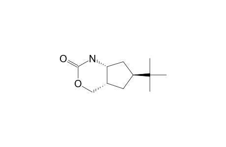 (4R*,5S*,8S*)-8-TERT.-BUTYLCYCLOPENTA-[D]-TETRAHYDRO-1,3-OXAZIN-2-ONE