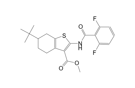 methyl 6-tert-butyl-2-[(2,6-difluorobenzoyl)amino]-4,5,6,7-tetrahydro-1-benzothiophene-3-carboxylate