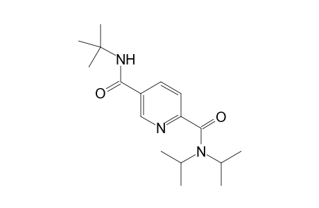 N(5)-[1',1'-Dimethylethyl]-N(2),N(2)-bis{1'-methylethyl]-2,5-pyridinedicarboxamide