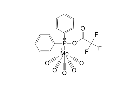 Molybdenum, pentacarbonyl(diphenylphosphinous trifluoroacetic anhydride-P)-, (OC-6-22)-