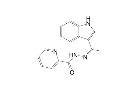 N'-[(Z)-1-(1H-indol-3-yl)ethylidene]-2-pyridinecarbohydrazide