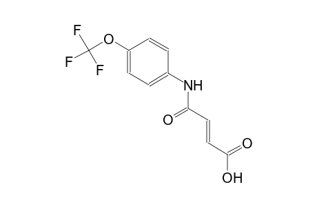 4-Oxo-4-[4-(trifluoromethoxy)anilino]-2-butenoic acid