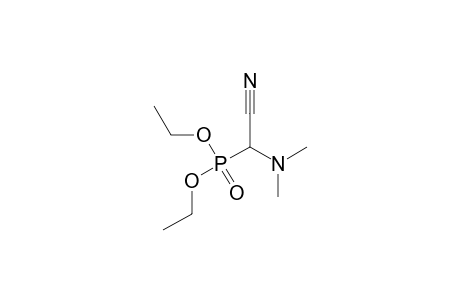 2-Diethoxyphosphoryl-2-(dimethylamino)acetonitrile