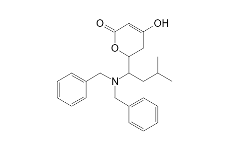 6-[(Dibenzylamino)-3'-methylbutyl]-4-hydroxy-5,6-dihydropyran-2-one