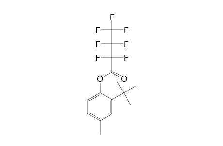 2-Tert-butyl-4-methylphenol, o-heptafluorobutyryl-