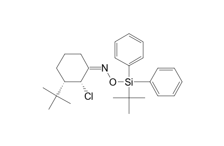 (Z)-[(2R,3S)-3-tert-butyl-2-chloro-cyclohexylidene]-[tert-butyl(diphenyl)silyl]oxy-amine
