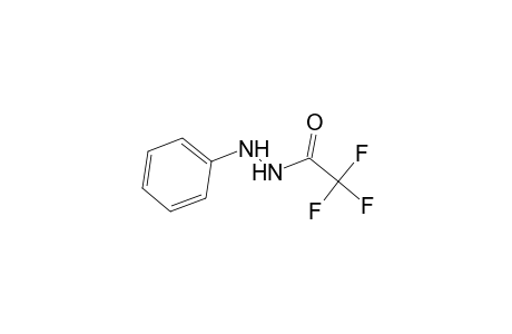 Acetic acid, trifluoro-, 2-phenylhydrazide