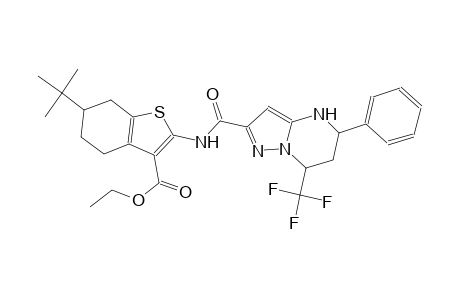 ethyl 6-tert-butyl-2-({[5-phenyl-7-(trifluoromethyl)-4,5,6,7-tetrahydropyrazolo[1,5-a]pyrimidin-2-yl]carbonyl}amino)-4,5,6,7-tetrahydro-1-benzothiophene-3-carboxylate