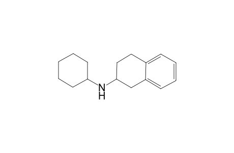 2-Naphthylamine, N-cyclohexyl-1,2,3,4-tetrahydro-