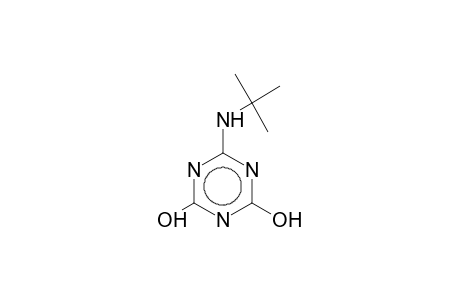 6-(tert-butylamino)-1,3,5-triazine-2,4(1H,3H)-dione