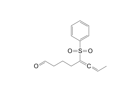 5-(Phenylsulfonyl)octa-5,6-dien-1-al