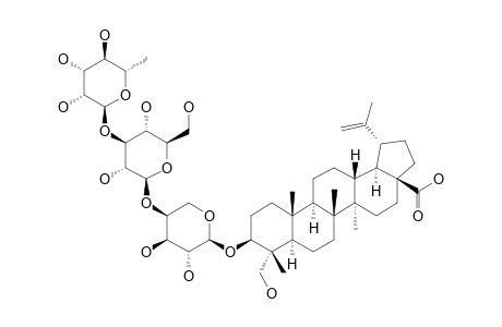 23-HYDROXY-3-BETA-[(O-BETA-D-GLUCOPYRANOSYL-(1->3)-O-ALPHA-L-RHAMNOPYRANOSYL-(1->2)-ALPHA-L-ARABINOPYRANOSYL)-OXY]-LUP-20-(29)-EN-28-OIC_ACID