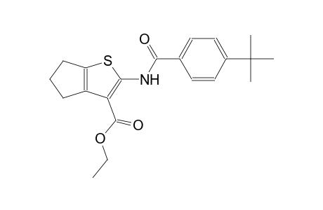 ethyl 2-[(4-tert-butylbenzoyl)amino]-5,6-dihydro-4H-cyclopenta[b]thiophene-3-carboxylate