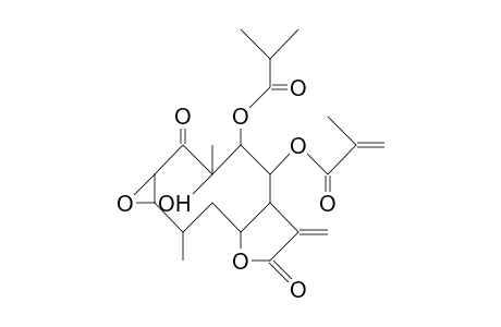 2,3-Epoxy-methacryloyl-isobutyroyl-calein